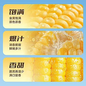 【云语食山旗舰店】真空包装水果玉米[5元优惠券]-寻折猪
