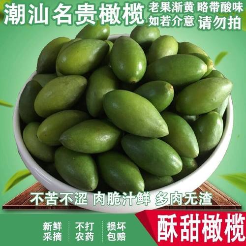 潮汕金灶特产青橄榄果现摘新鲜二号甜种橄榄生吃零食青果无渣脆甜 - 图0