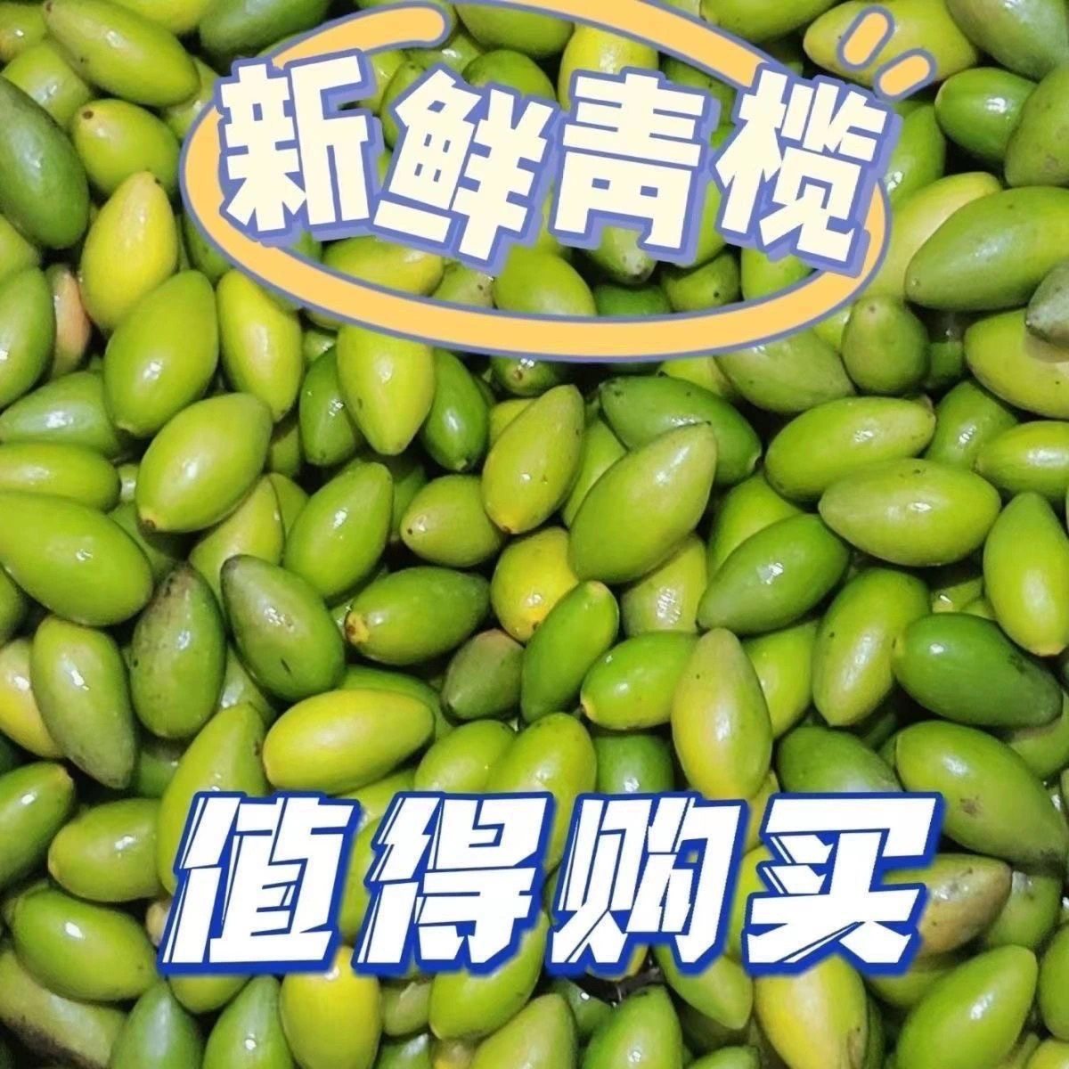 甜种冰糖新鲜橄榄新鲜青橄榄果特甜鲜橄榄潮汕水果零食生吃甘甜,淘宝优惠券,粉丝福利购,淘宝优惠卷