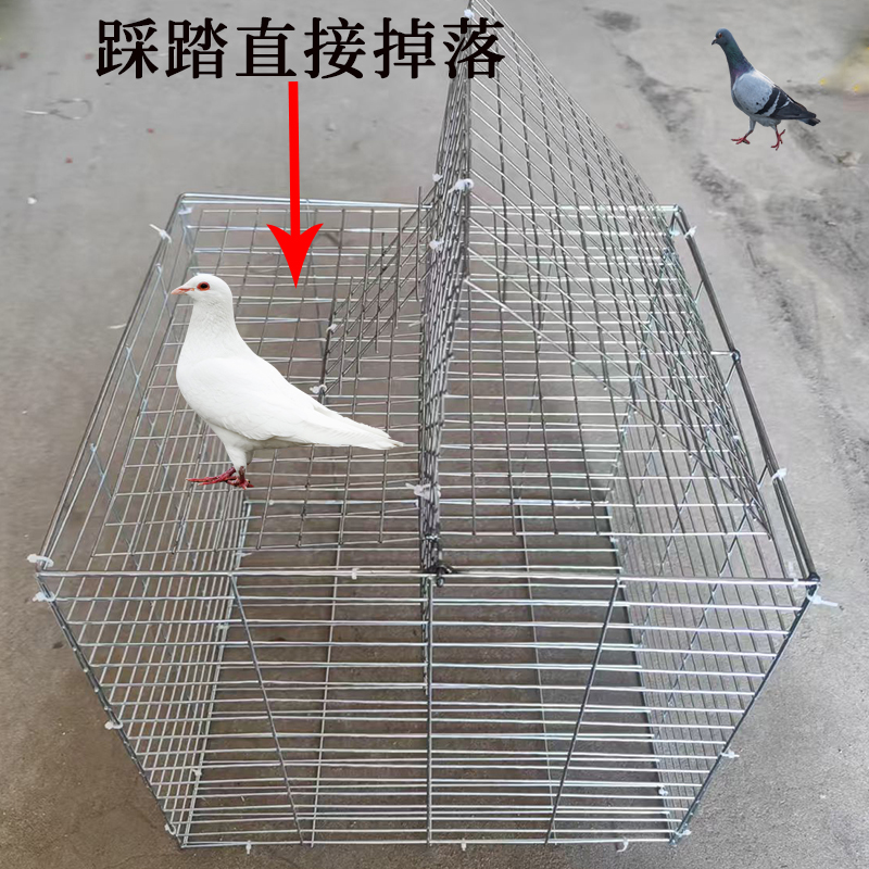 天落笼鸽子笼只进不出自动翻转鸽子活络撞门笼鸽子笼房顶鸽子神器