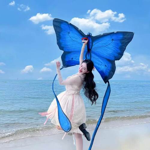 2025新款蝴蝶风筝微风易飞儿童手持纸鸢大人高档户外拍照出片神器 - 图1