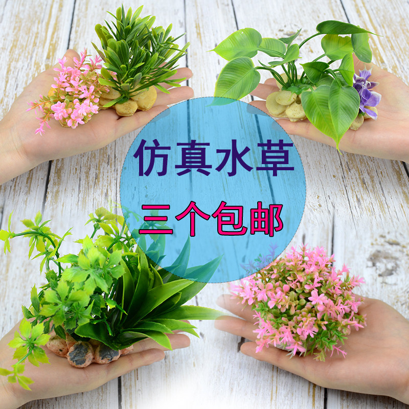 鱼缸花草水草 新人首单立减十元 21年7月 淘宝海外