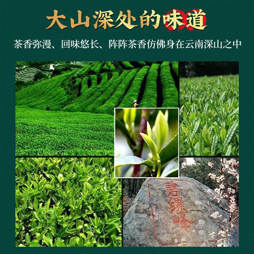 买1送1共1000g茶叶2023新茶云南碧螺绿茶叶沁爱滇绿茶散茶礼盒茶