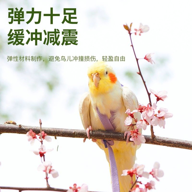 牡丹专用鹦鹉屎兜牵引绳尿不湿超轻放飞绳飞行外出背带遛训鸟神器,淘宝优惠券,粉丝福利购,淘宝优惠卷