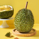 Xidemao Malay imported tree-ripened liquid nitrogen red-fleshed durian