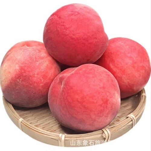 极早熟五月特大脆蜜桃树果苗嫁接冬桃苗耐寒种植南北方新品种桃树 - 图3