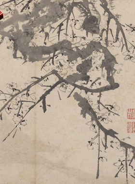 明陈淳花卉册二十开写生图册临摹