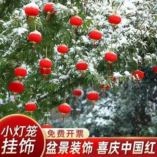 元旦新年春节植绒小灯笼挂饰树上小红灯笼盆景户外阳台结婚庆装饰 - 图2
