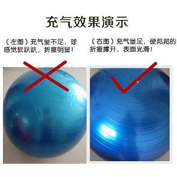 专业康复训练球瑜伽球儿童脑感统平衡巴氏球早产大笼球送气筒