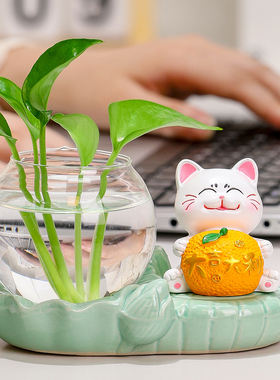 财源滚管元气招财猫水培花瓶器皿