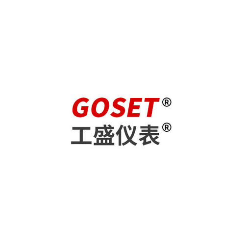 GS 702RS 醇基 燃料 控制器 甲醇 气化 B W H F专用仪表 - 图2