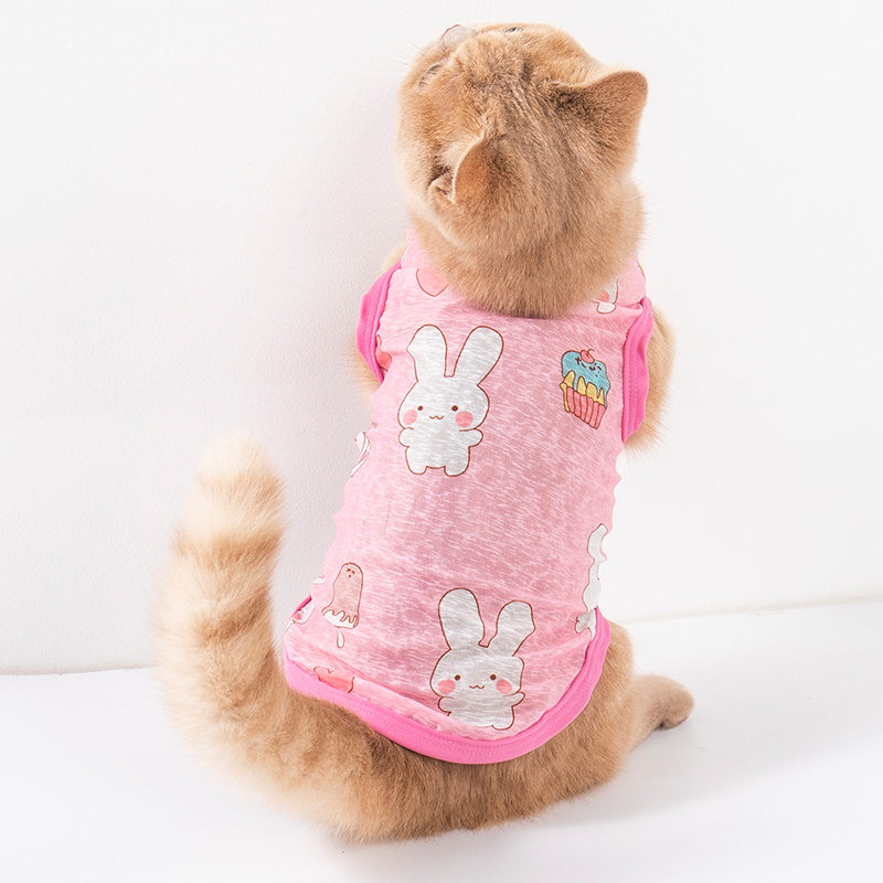 猫咪衣服防掉毛夏季薄款美短蓝猫布偶幼猫小型犬狗狗夏天空调背心 - 图2