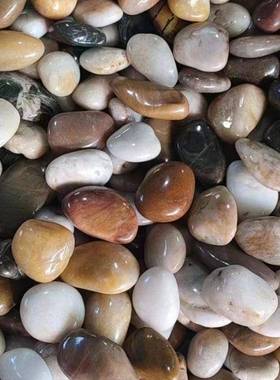 精品五彩雨花石原石天然鹅卵石公园铺路造景家庭装饰