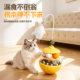 Pet Island Tumbler Funny Cat Stick Mint Feather