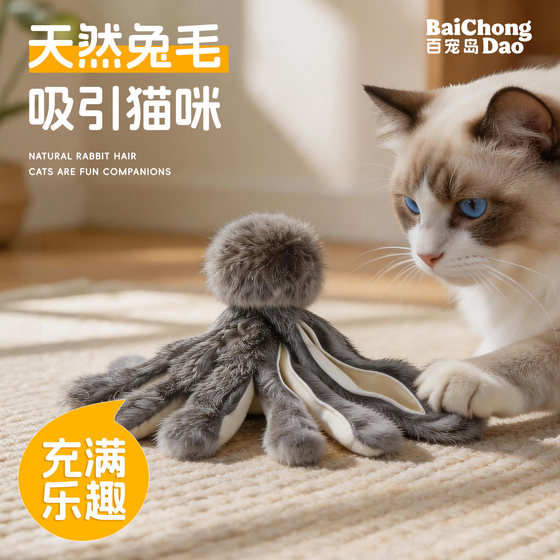 Baipetdao Feather Cat Flirting Stick Self-Entertainment Hunting Resistant to Bite