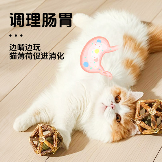 Catnip ball self-stimulating tool for relieving boredom and teeth grinding stick