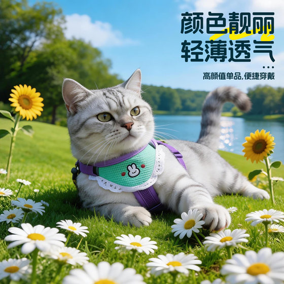 Bai Chong Island small and medium-sized dog vest type chest and back leash
