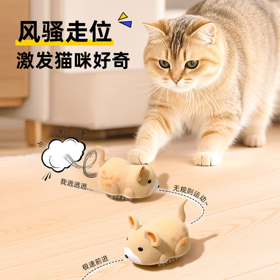 Cat toy, cat stick, self-pleasure and boredom relief artifact