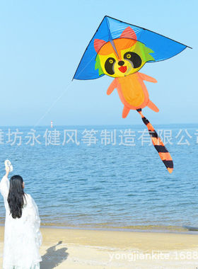 永健潍坊新品浣熊风筝三角风筝风筝好飞易放摆摊卡通风筝
