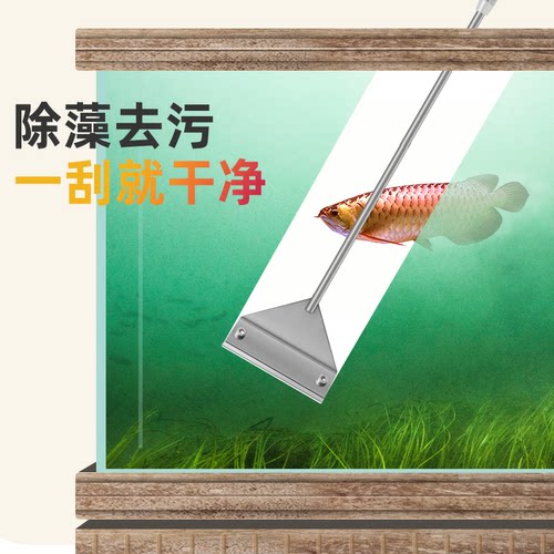 刮藻刀水草缸鱼缸无死角刷子小型除藻刷子清洁用品擦鱼缸玻璃神器 - 图1