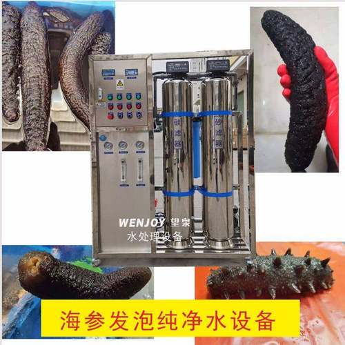 深圳大型工业商用净水器0.25吨0.5吨1吨海参食品加工反渗透纯水机 - 图2