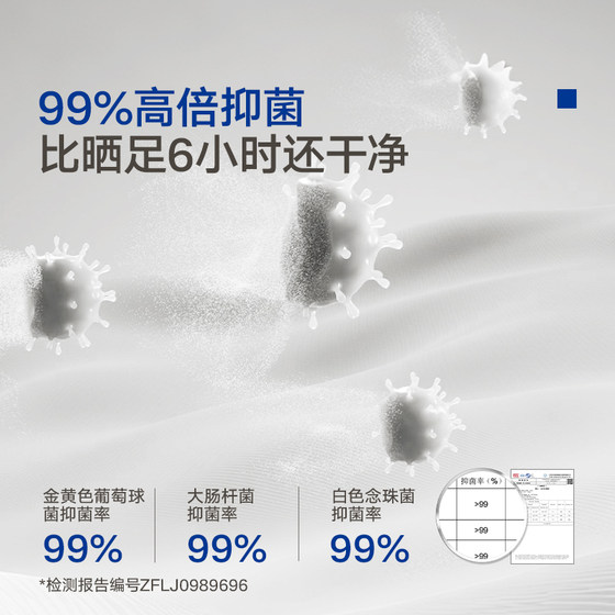 Dream Lily Langyiyun Class A mattress protector