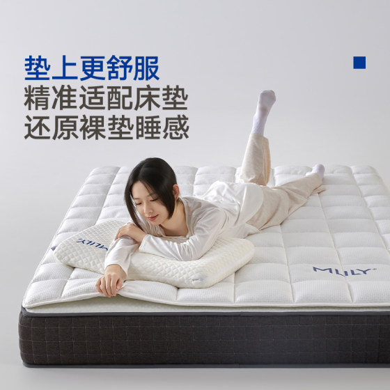 Dream Lily Langyiyun Class A mattress protector