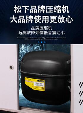 隆雪零下20度冰淇淋柜厚切炒酸奶柜海鲜三文鱼汤圆水饺冷冻柜