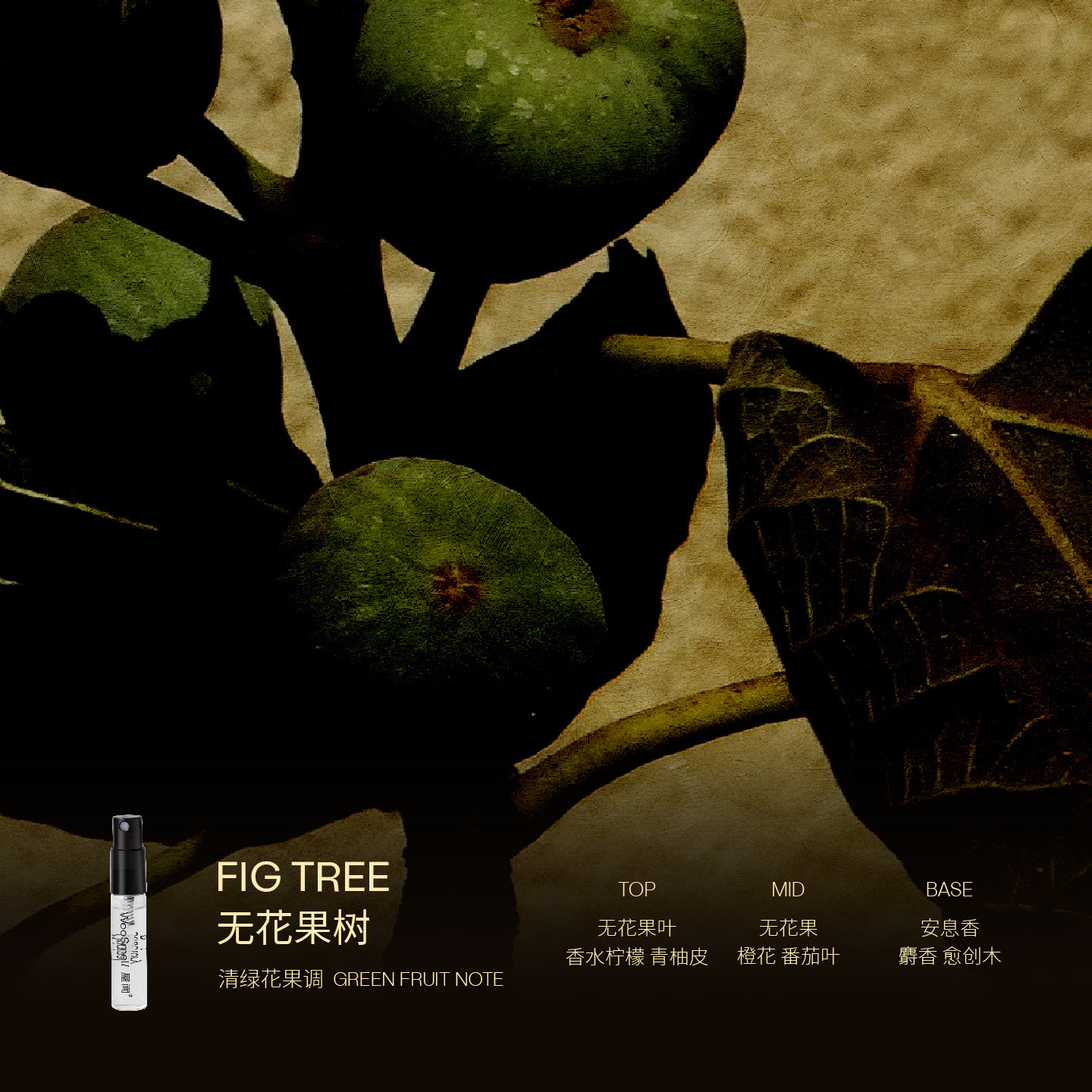 【新人礼】WooSmell屋闻 大树系列香氛香水小样体验礼 享回购券,淘宝优惠券,粉丝福利购,淘宝优惠卷