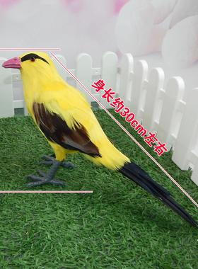 彷真黄鹂鸟模型动物真羽毛家居装饰品摆件教学摄影道具高端造景鸟
