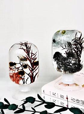 倒置浮游花玻璃瓶 高透DIY植物标本创意装饰摆件