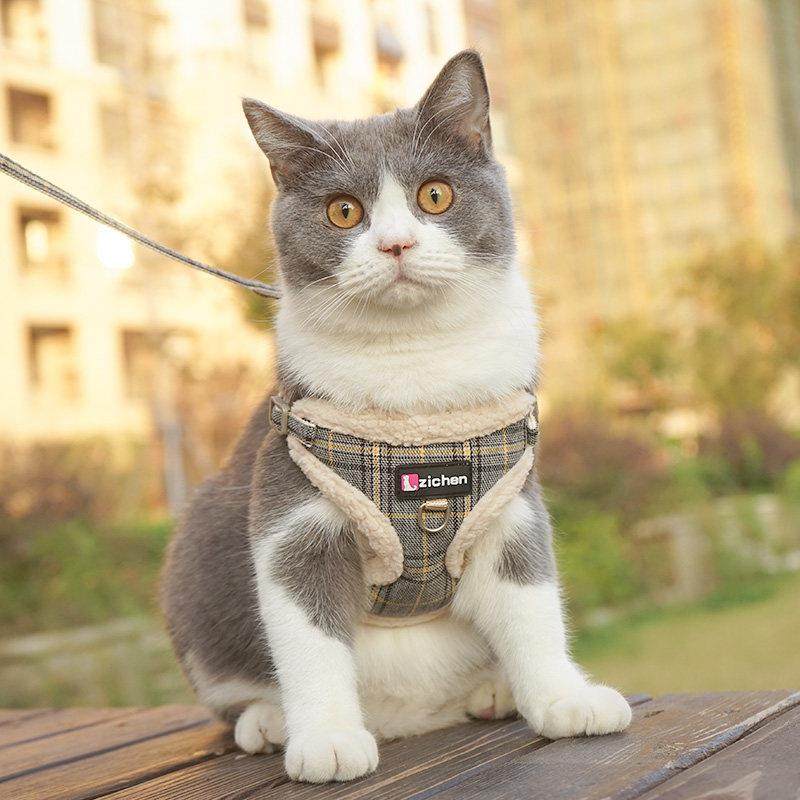 背包背心式猫牵引绳背带狗链防挣脱宠物专用遛猫绳英短猫咪牵引绳,淘宝优惠券,粉丝福利购,淘宝优惠卷