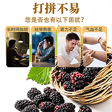 国存堂！新疆特级桑葚干1罐/100g[10元优惠券]-寻折猪