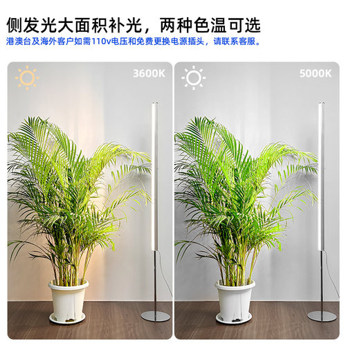 Barrina佰利纳全光谱落地侧发光植物补光灯仿太阳防眩热植生长灯 - 图1