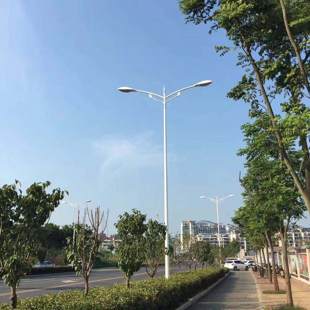 市电单臂路灯8米10米厂区户外公园道路灯厂家6米单臂LED路灯,淘宝优惠券,粉丝福利购,淘宝优惠卷