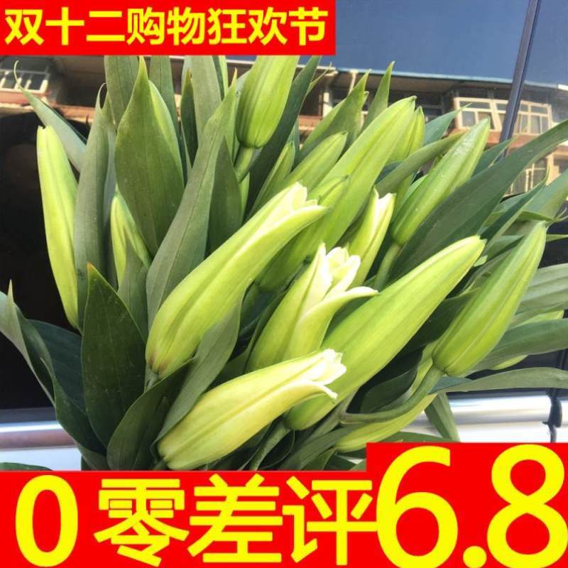 室内活百合花植水培绿粉花店HLS令养百搭情人节束时一束切花