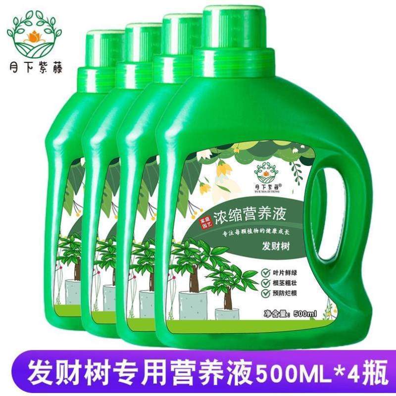 盆LEJ4832栽铜钱艺园家用肥料营养液植物花卉草绿富萝贵花草喷施 - 图0