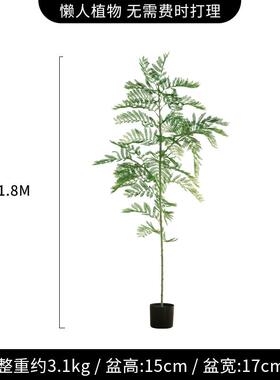 仿真植物蓝花楹中式禅意仿生绿植假树装饰摆件室内客厅落地盆栽