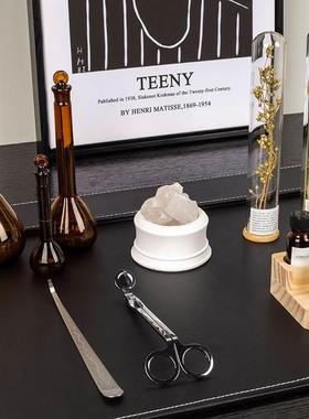 北欧样板间书房书桌装饰摆件植物标本香薰精油展示架化学试管主题