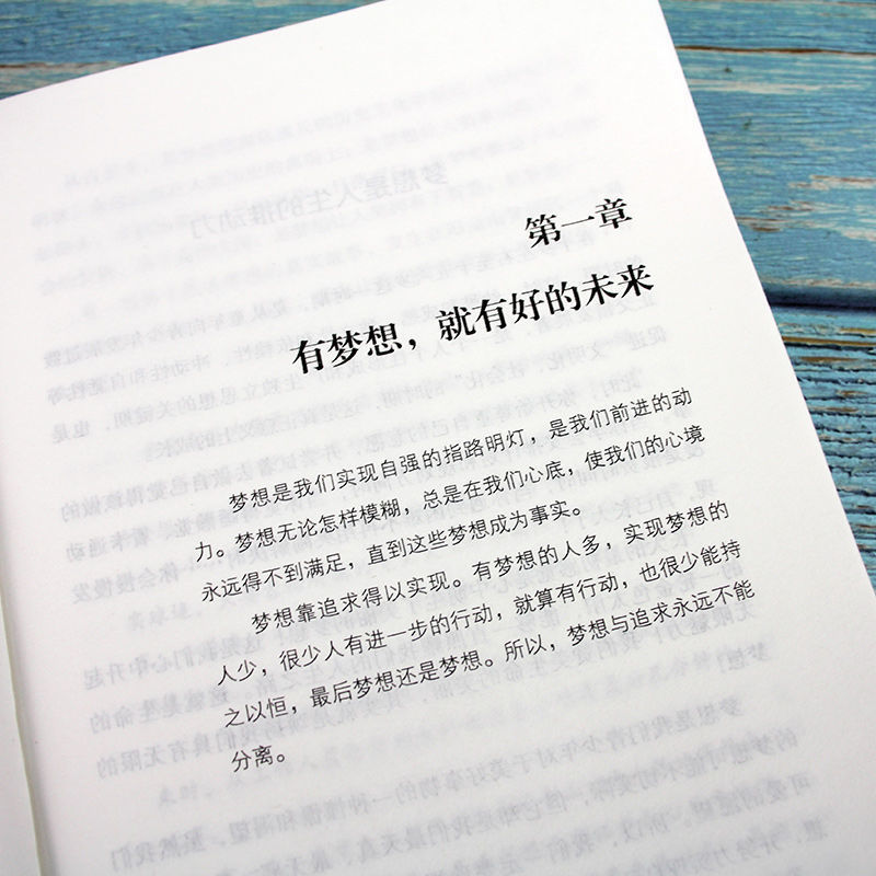 成功励志系列全2册 没伞的孩子须努力奔跑+你不努力谁也给不了你想要的生活  跑起来才有希望 冲出雨水越过泥泞看到不一样的风景正