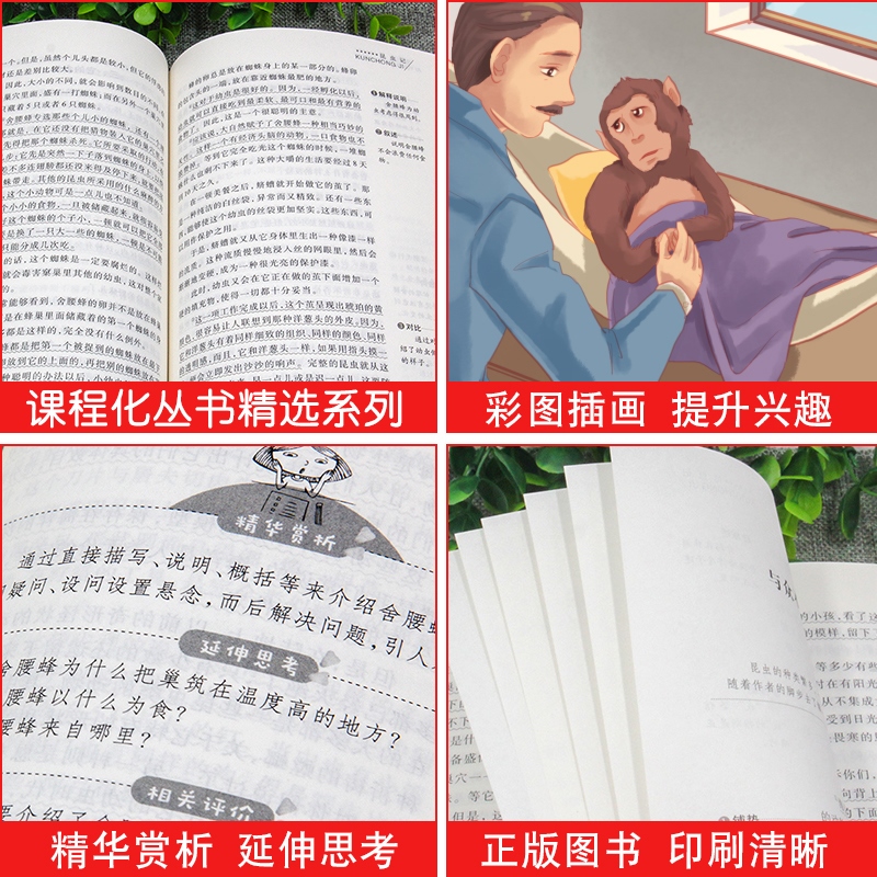 西顿动物故事集 西顿野生故动物故事集精选小说全集 天地出版社原著正版三年级四 五六年级小学生课外阅读书籍适读 动物记