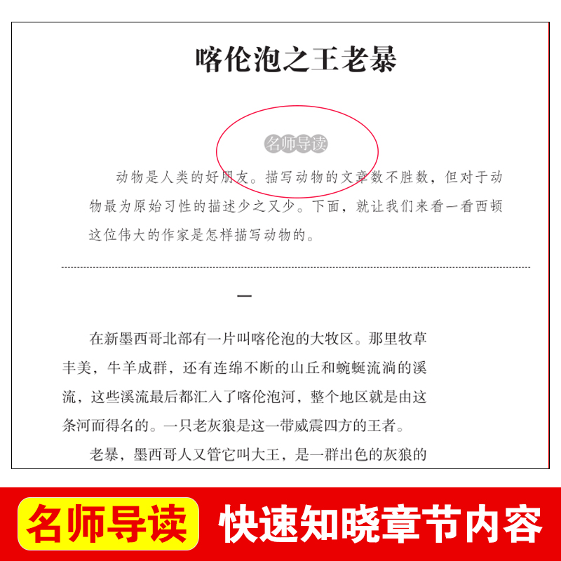 西顿动物故事集 西顿野生故动物故事集精选小说全集 天地出版社原著正版三年级四 五六年级小学生课外阅读书籍适读 动物记
