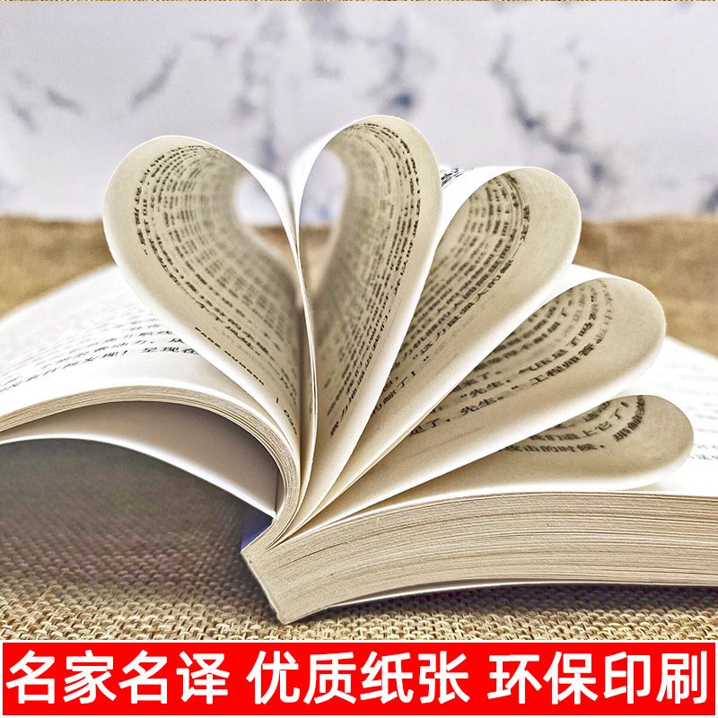 【东方文澜】八十天环游地球名家名译世界经典文学名著非注音无障碍儿童小学生课外阅读故事正版书籍