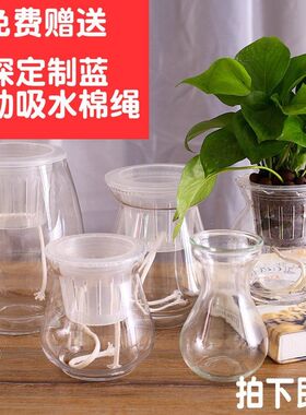 自动吸水懒人玻璃花瓶水培植物透明绿萝花盆送棉绳定植篮创意器皿