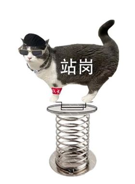 站岗小狗亚克力立牌车载办公室桌边弹簧摆件趣味摇摇乐摆件