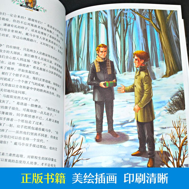 会飞的教室正版 小学生三四五年级阅读课外读书经典书目正版童话故事书籍 国际大奖儿童文学系列 童年兔子坡彩虹鸽青鸟柳林风声