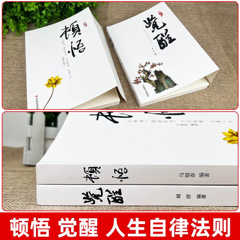 全5册】顿悟和觉醒静心修己包容 书身心灵修行课精神导师禅悟感受当下的正念此刻是时刻书籍活出生命的意义变通书籍受用一生的学问