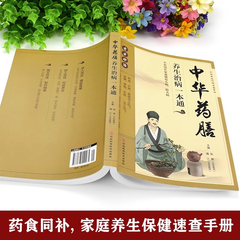 2册中华药膳百病食疗大全正版彩图养生汤膳养生治病一本通大全解中医养生食谱调理四季家庭营养健康保健饮食养生菜谱食补书-图0