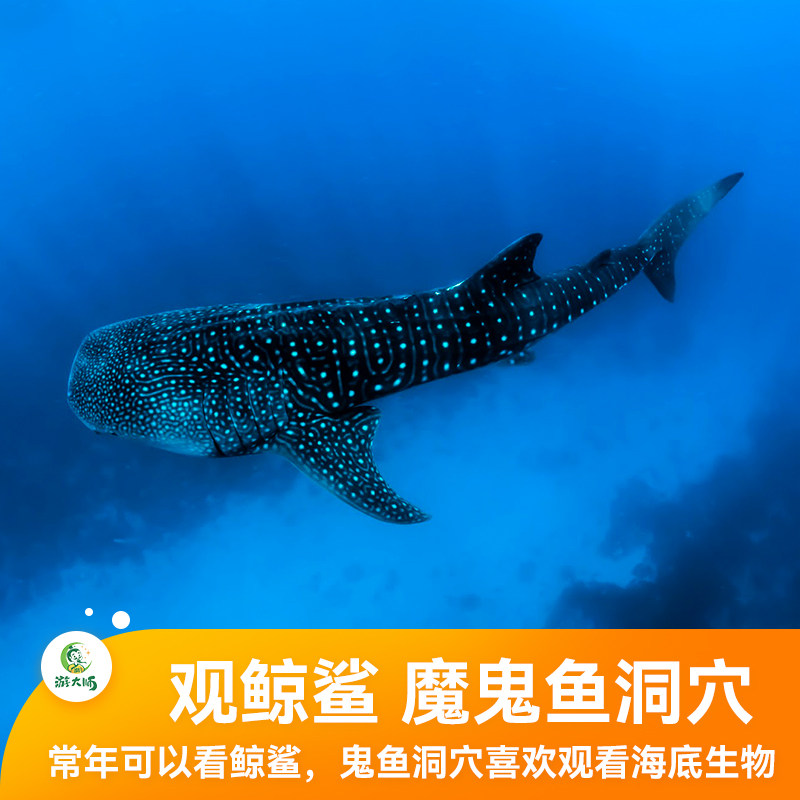 图 3