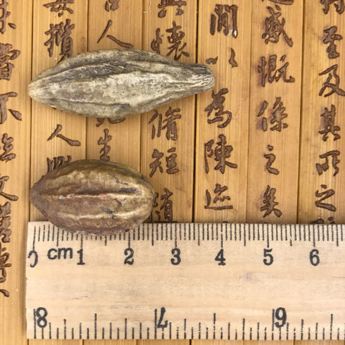 诃子500克无硫大诃子肉柯子呵子诃梨诃梨可磨诃子粉火锅调料包邮 - 图3